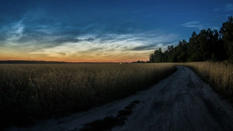 Жителям Владимирской области удалось увидеть серебристые облака