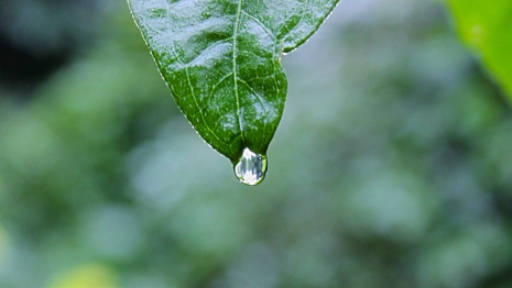 Макринин день: что можно и нельзя делать 30 июля