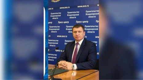 Экс-министр спорта Владимирской области стал главой Доброграда