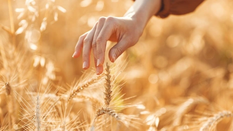 37 день Великого поста: что можно и нельзя 23 апреля 2024 года