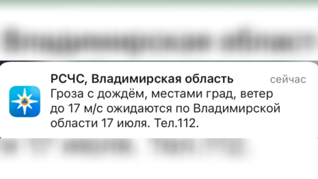 МЧС предупредило жителей Владимирской области о грозе и граде 17 июля