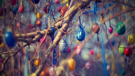 Во Владимире украшение пасхального дерева 30 тысячами яиц привело к скандалу 