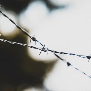 Отец из Вязников получил реальный срок за неуплату алиментов
