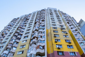 Во Владимирской области выбрали самый большой «человейник»