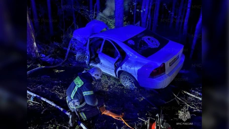 В ДТП во Владимирской области пострадала молодая пара