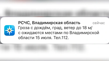 МЧС предупредило жителей Владимирской области о грозе и граде 15 июля