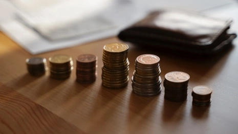 Во Владимирской области 9,3% жителей оказались за чертой бедности