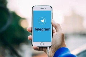 Администрация Владимирской области запустила сомнительный чат-бот в Telegram