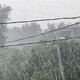 Дождь накроет Владимирскую область во второй половине дня 3 июля