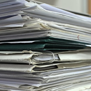 Во Владимире директор спортивного корпуса ВлГУ пойдет под суд за фантомное трудоустройство