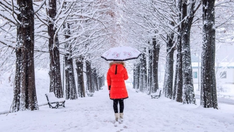 Прогноз погоды во Владимире и области на 18 февраля 2024 года