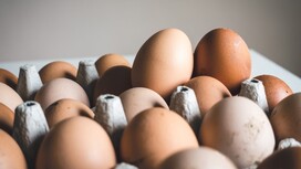 Во Владимирской области замедлился рост цен на яйца и легковушки