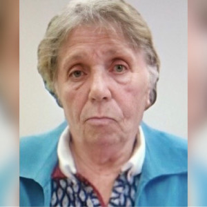 Во Владимирской области начали поиски 85-летней бабушки из Обнинска