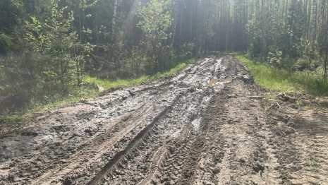В Юрьев-Польском арендатор леса разбил и забыл восстановить дорогу