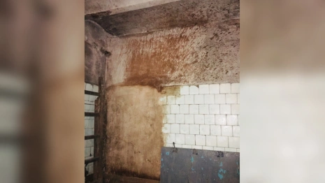 Жители Вязников обратились к Путину из-за ужасного состояния городской бани