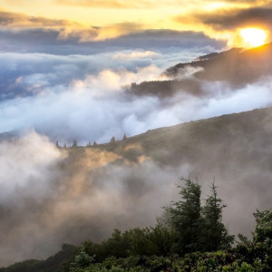 МЧС продлило до 25 августа неблагоприятный прогноз во Владимирской области