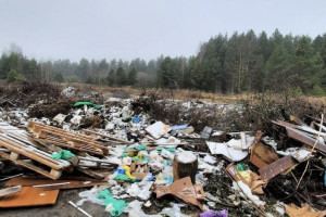 В Гусь-Хрустальном ликвидировали огромную стихийную свалку