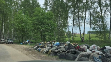 В Коврове въезд на кладбище превратили в свалку
