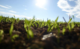 Антициклон подарит городу Владимиру летнее тепло