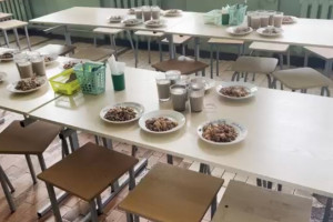 Во владимирской школе №46 вскрылись проблемы с организацией питания