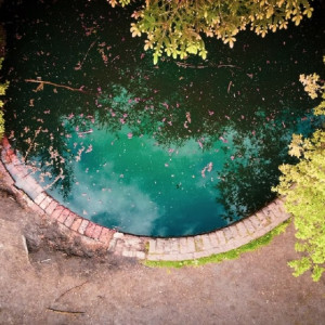 Во Владимире пруды в парке у ДТЮ станут местом притяжения туристов  