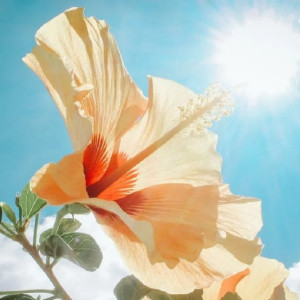 Владимирскую область накроет антициклон