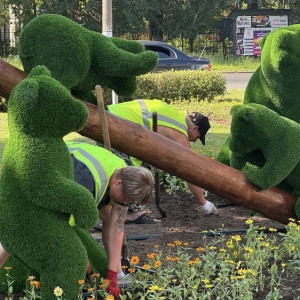 На улице Горького во Владимире «поселилась» семья медведей