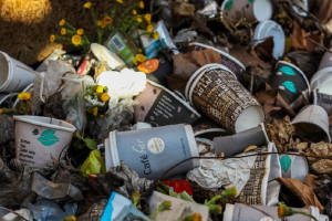 Жители Владимирской области стали меньше жаловаться на плохую уборку мусора 