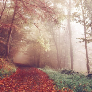 Прогноз погоды во Владимирской области на 5 ноября