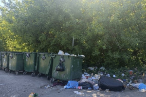 В Юрьев-Польском захламили 7 контейнерных площадок