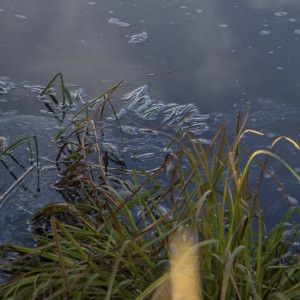 В Клязьме близ Владимира обнаружили нефтяные пятна