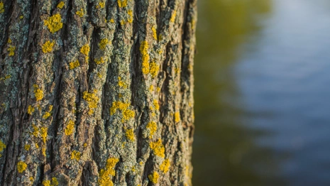 Во Владимирской области наступила климатическая весна