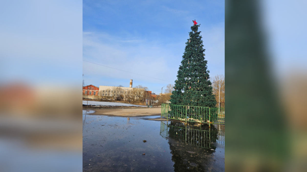 В Струнино новогоднюю елку на площади у ДК оставили до апреля - День во  Владимире