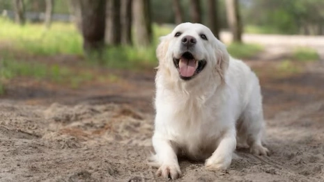 Афанасьев день: что нужно сделать 6 ноября ради обогащения и счастья