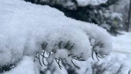 Морозы отступят во Владимирской области на рабочей неделе
