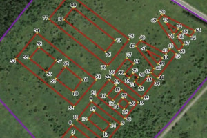 В Кольчугинском районе началась высадка огромного геоглифа