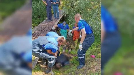 Погибшая в Суздальском районе пенсионерка была слепой