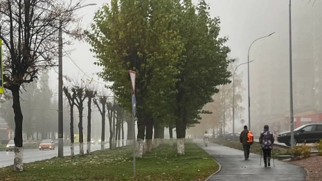 Владимир вновь окутал густой туман