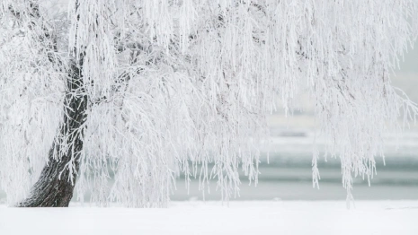 Прогноз погоды во Владимирской области на 14 марта