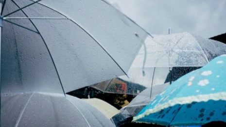 Прогноз погоды во Владимирской области на 24 августа