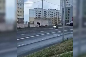 Двое детей проехались по дорогам Владимира на квадроцикле