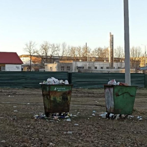 Во Владимирской области запустили «горячую линию» для жалоб на вывоз мусора