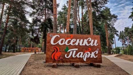 Дело о попытке подорвать чиновников гранатой в парке дошло до суда в Александрове 