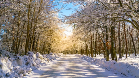 Прогноз погоды во Владимире и области на 14 февраля