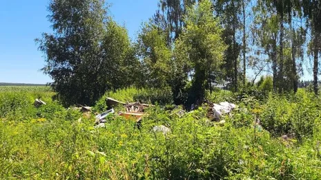 В Ковровском районе нашли огромные стихийные свалки