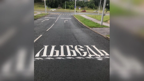 Во Владимире на асфальте появились необычные указатели на Лыбедь