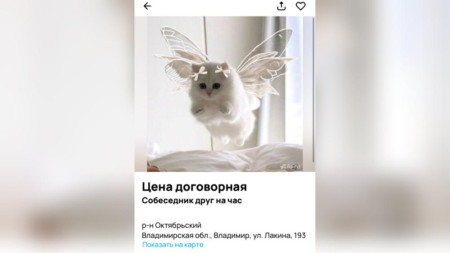 Во Владимире начали предлагать услуги собеседника на час