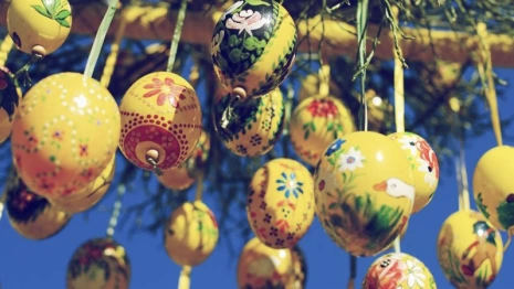 Во владимирском парке Пушкина пасхальное дерево украсят 10 тыс. яиц