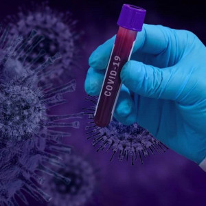 Во Владимирской области выявили 1237 новых случаев ковида