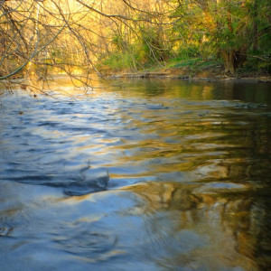 35 день Великого поста: что можно и нельзя 21 апреля 2024 года